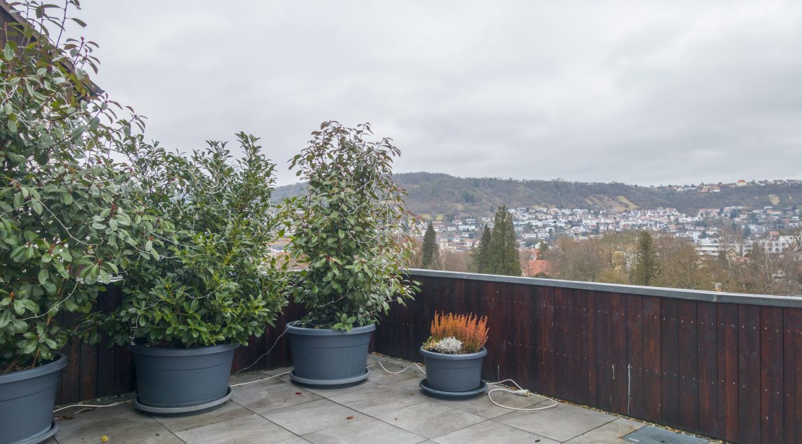 Blick von der Terrasse