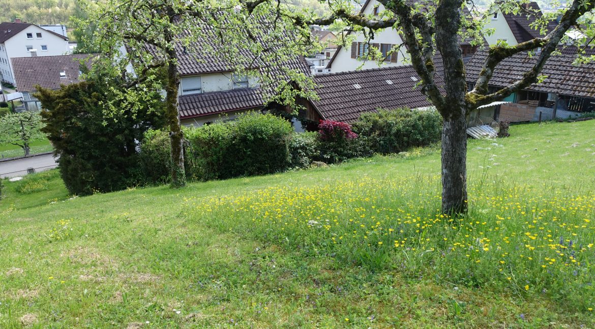 Hausansicht Nord-Westen_