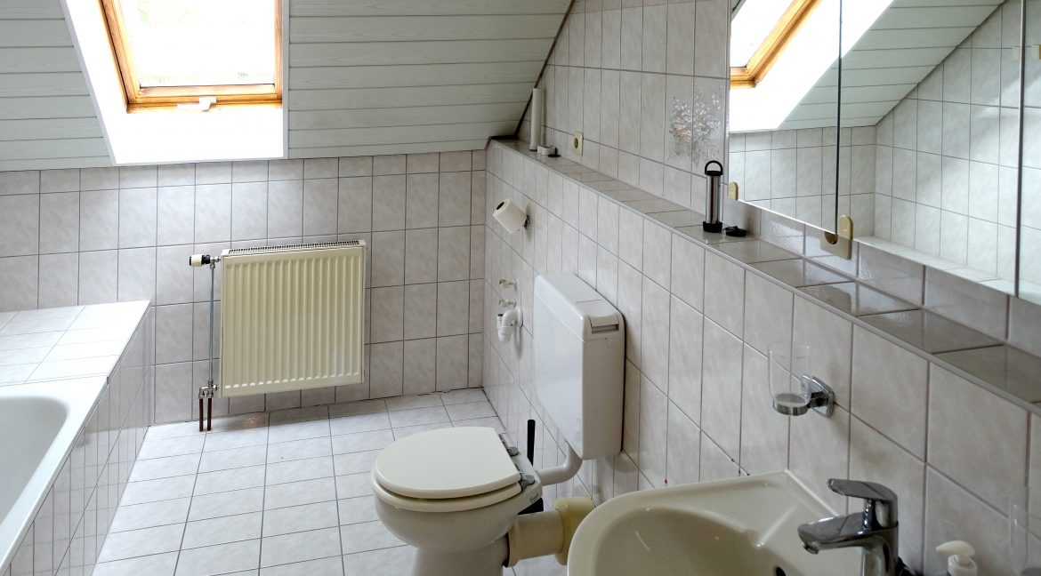 Badezimmer mit BW,Dusche,WC,WB