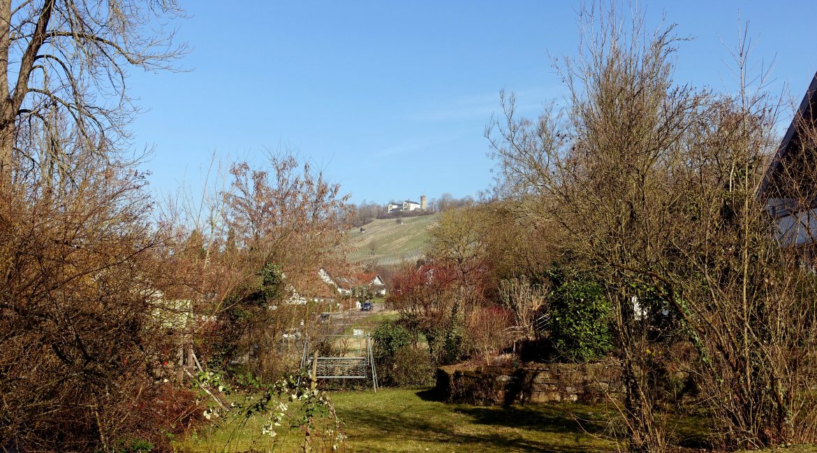 Blick auf den Wartberg
