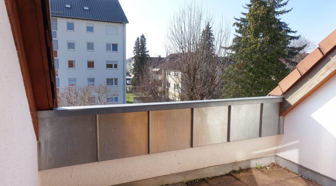 Dachterrasse1